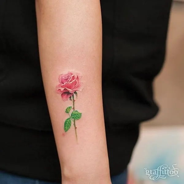Rose, Flower