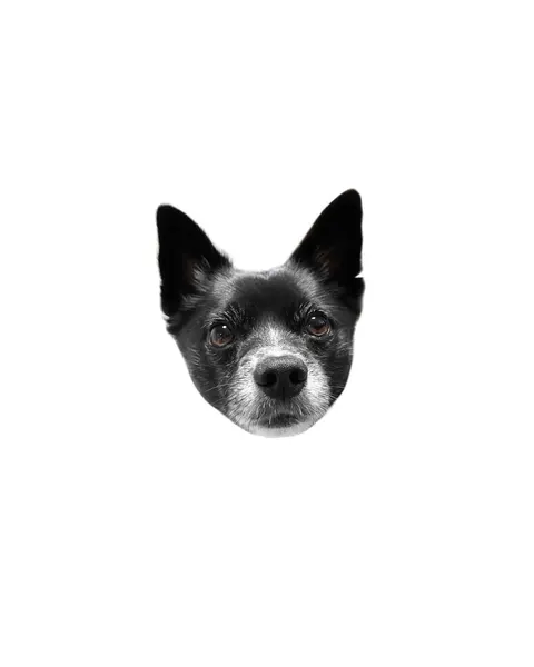 dorok.tattoo