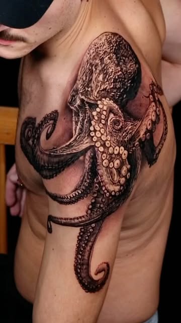 Animal, 문어, 크라켄