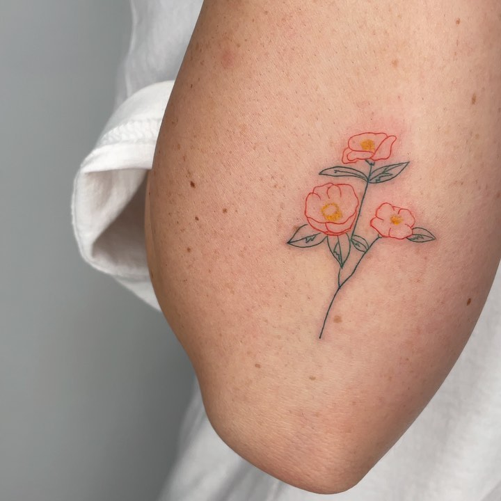 Flower, Rose