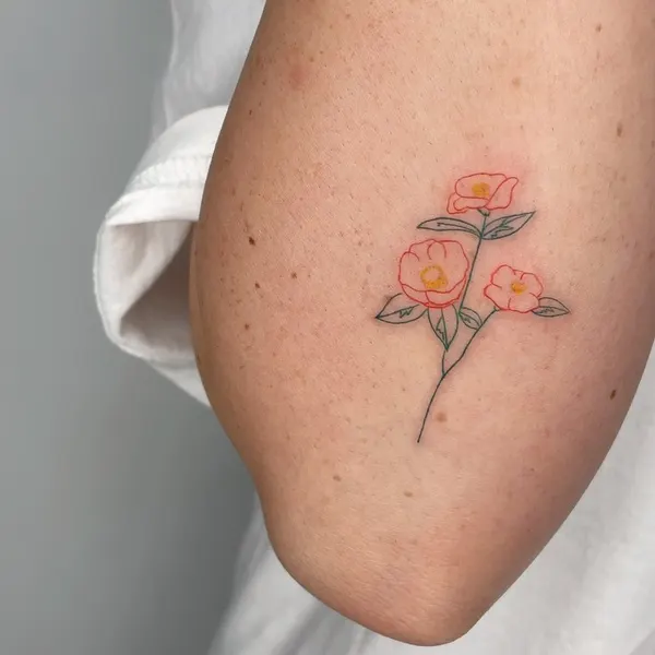 Rose, Flower, 벚꽃, 카네이션, 수선화