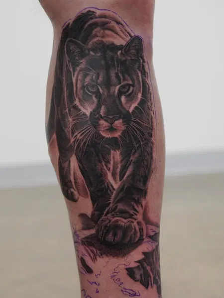 Tiger