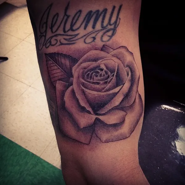 Flower, Rose