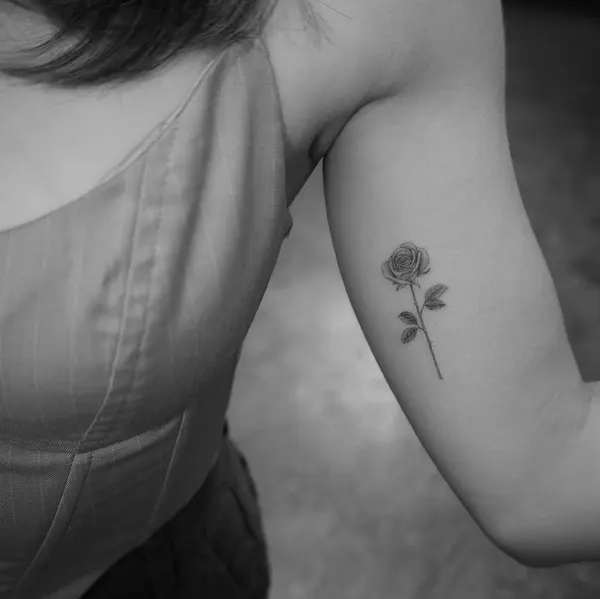 mnsantanatattoo