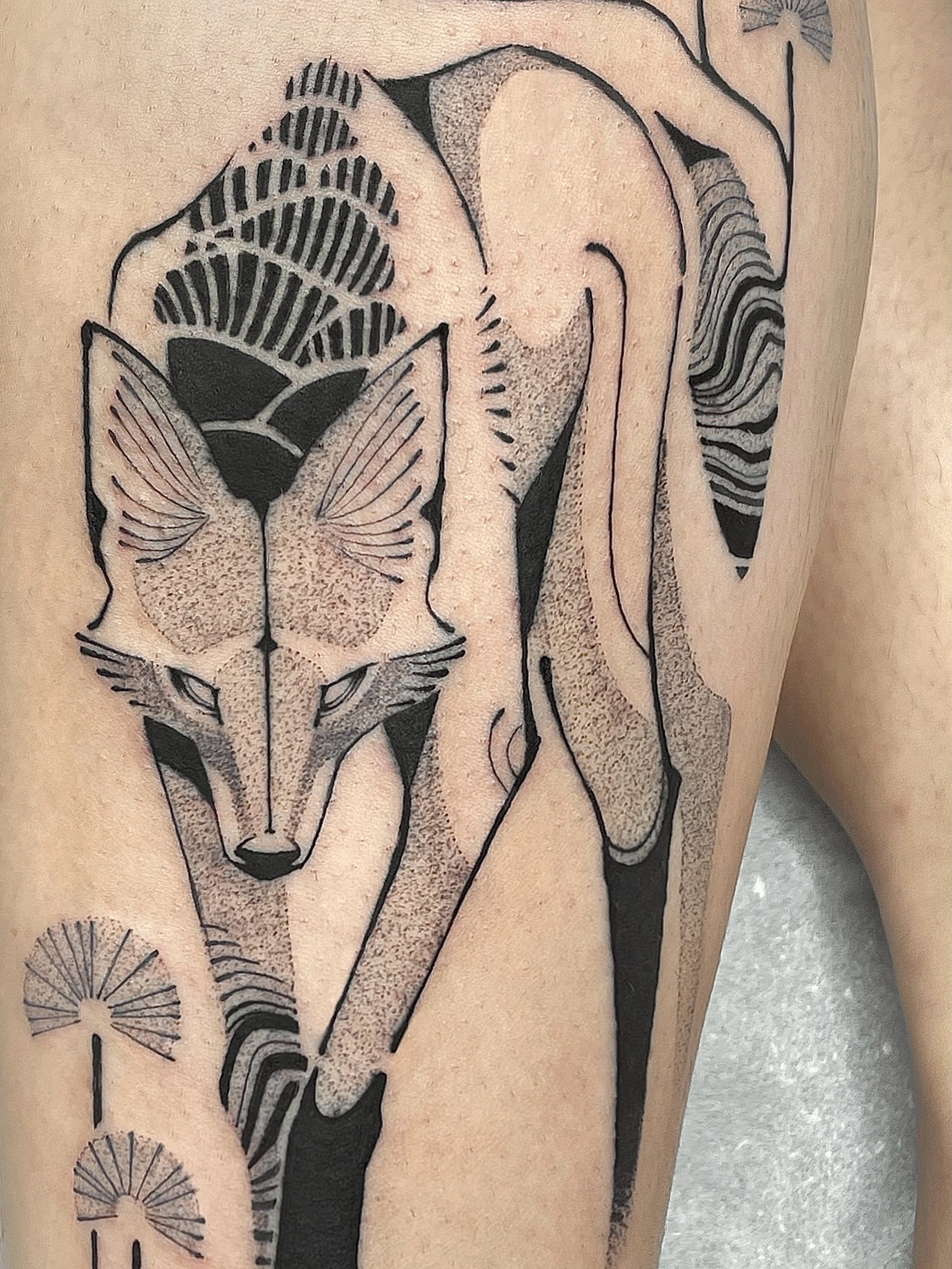 Animal