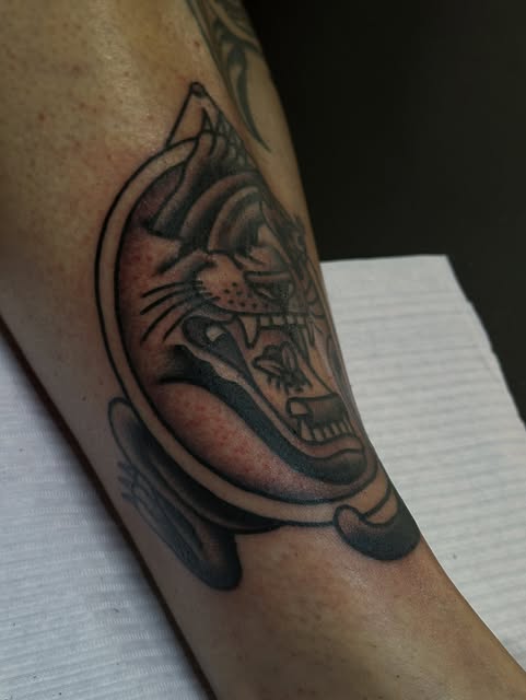 Tiger, Animal