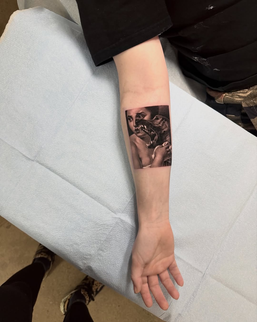Animal, Tiger