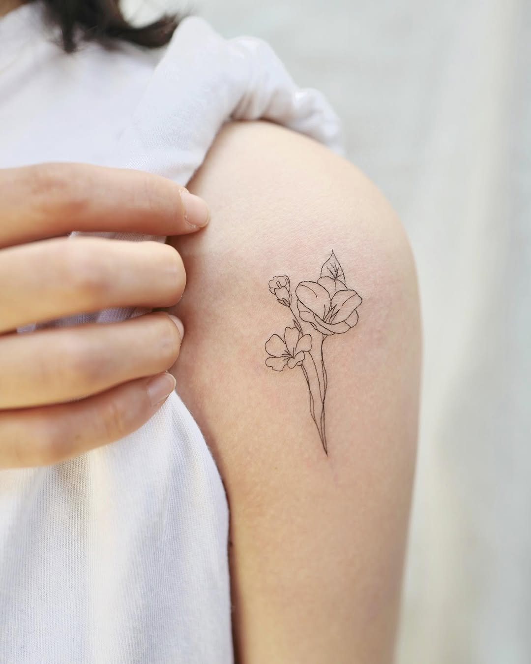 Rose, Flower