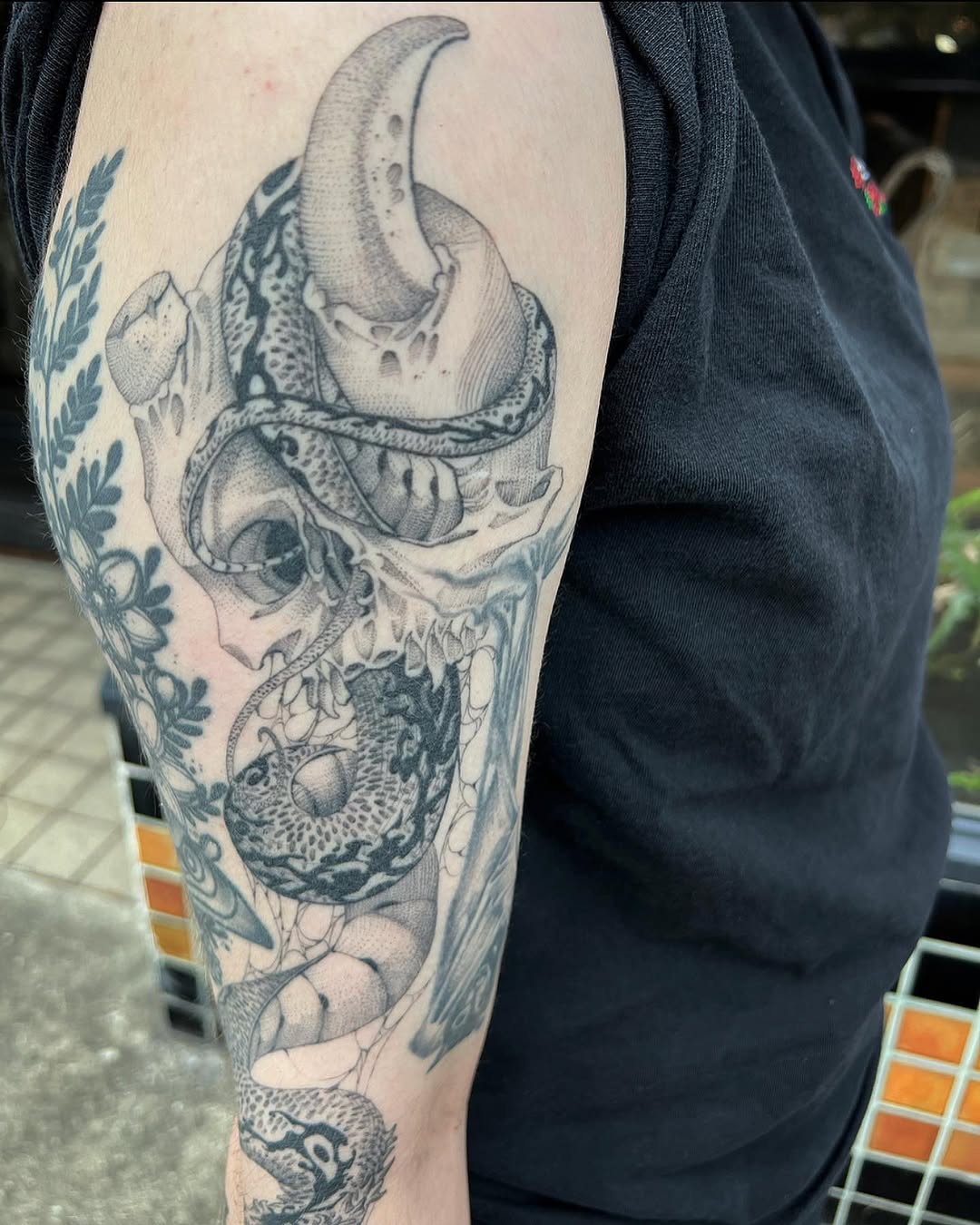 Dragon
