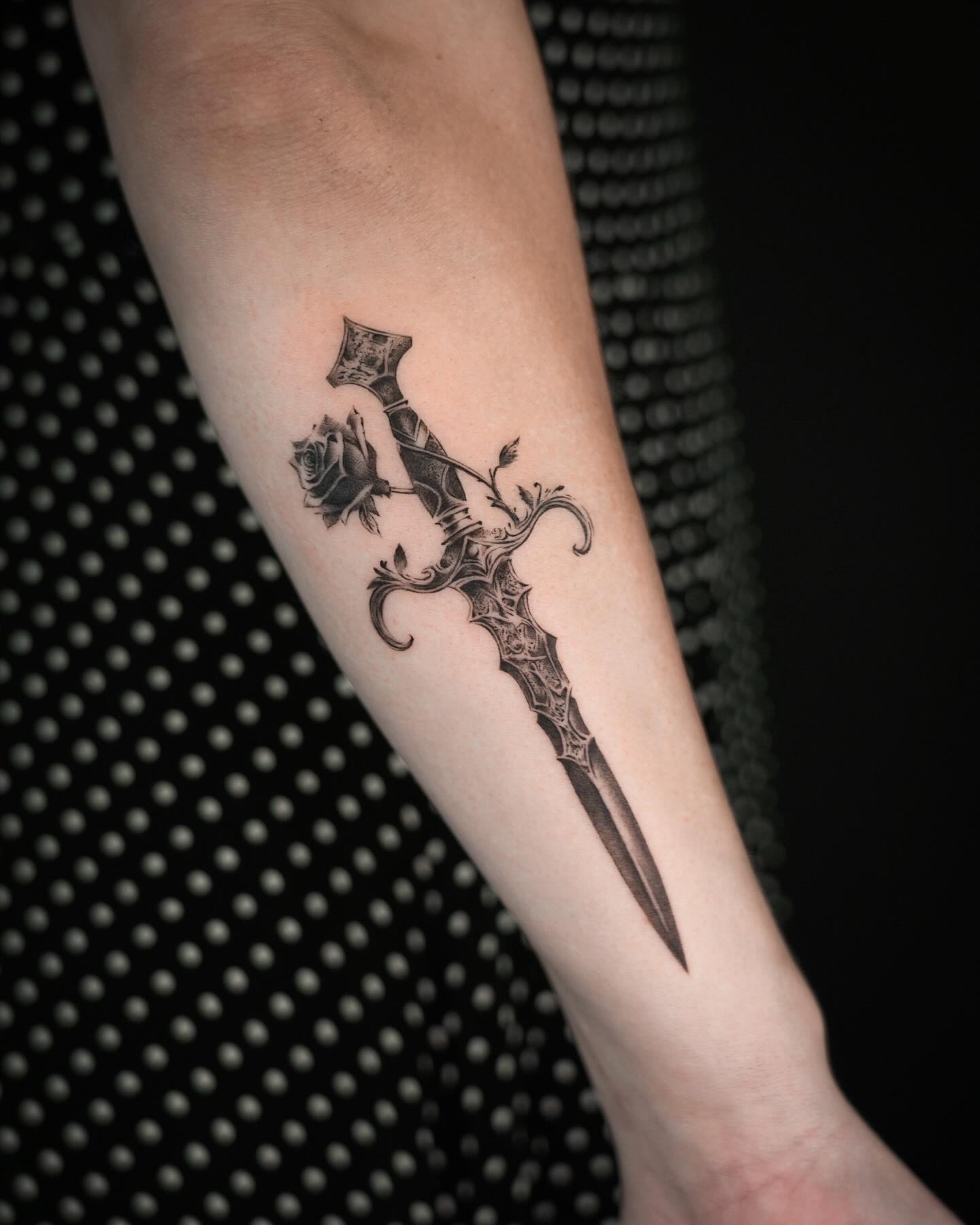 제비, 참새, 비둘기