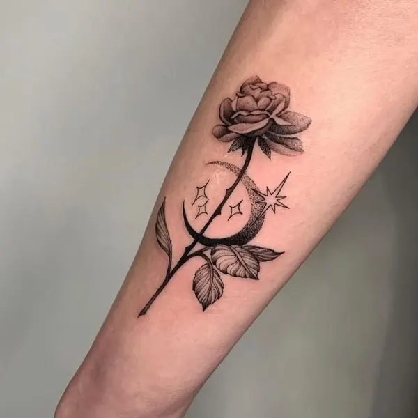 Rose, Flower