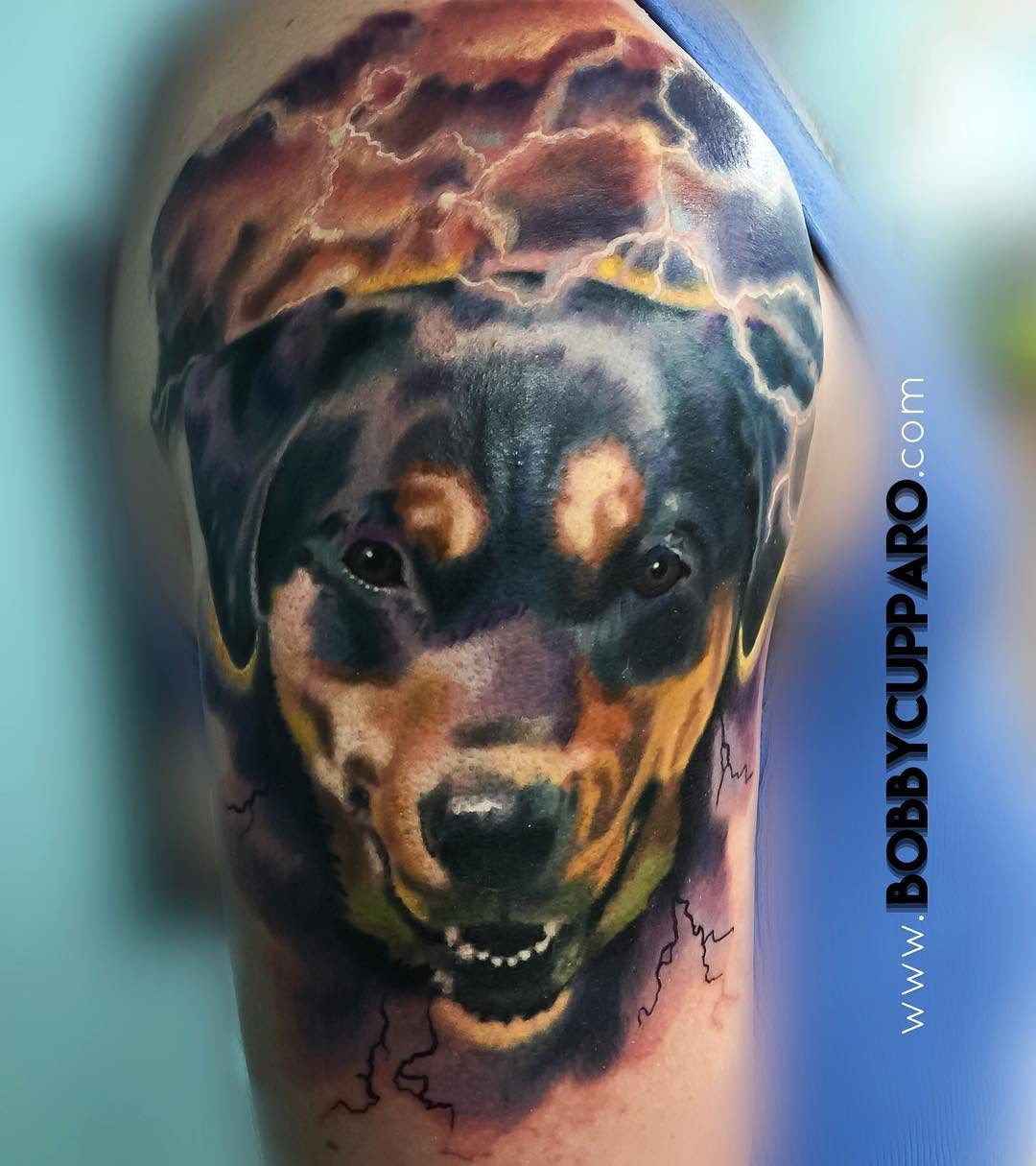Animal