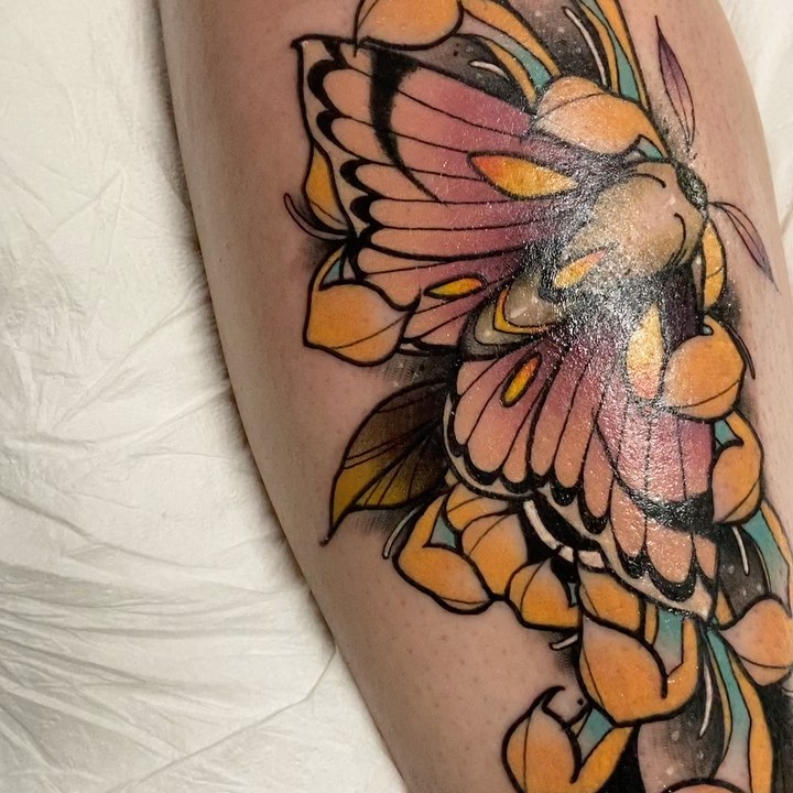 Animal, Nature, Flower