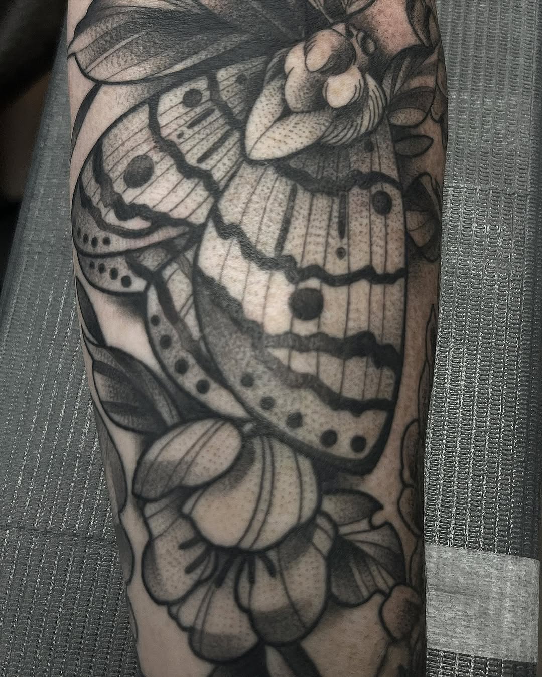 sarastigmata
