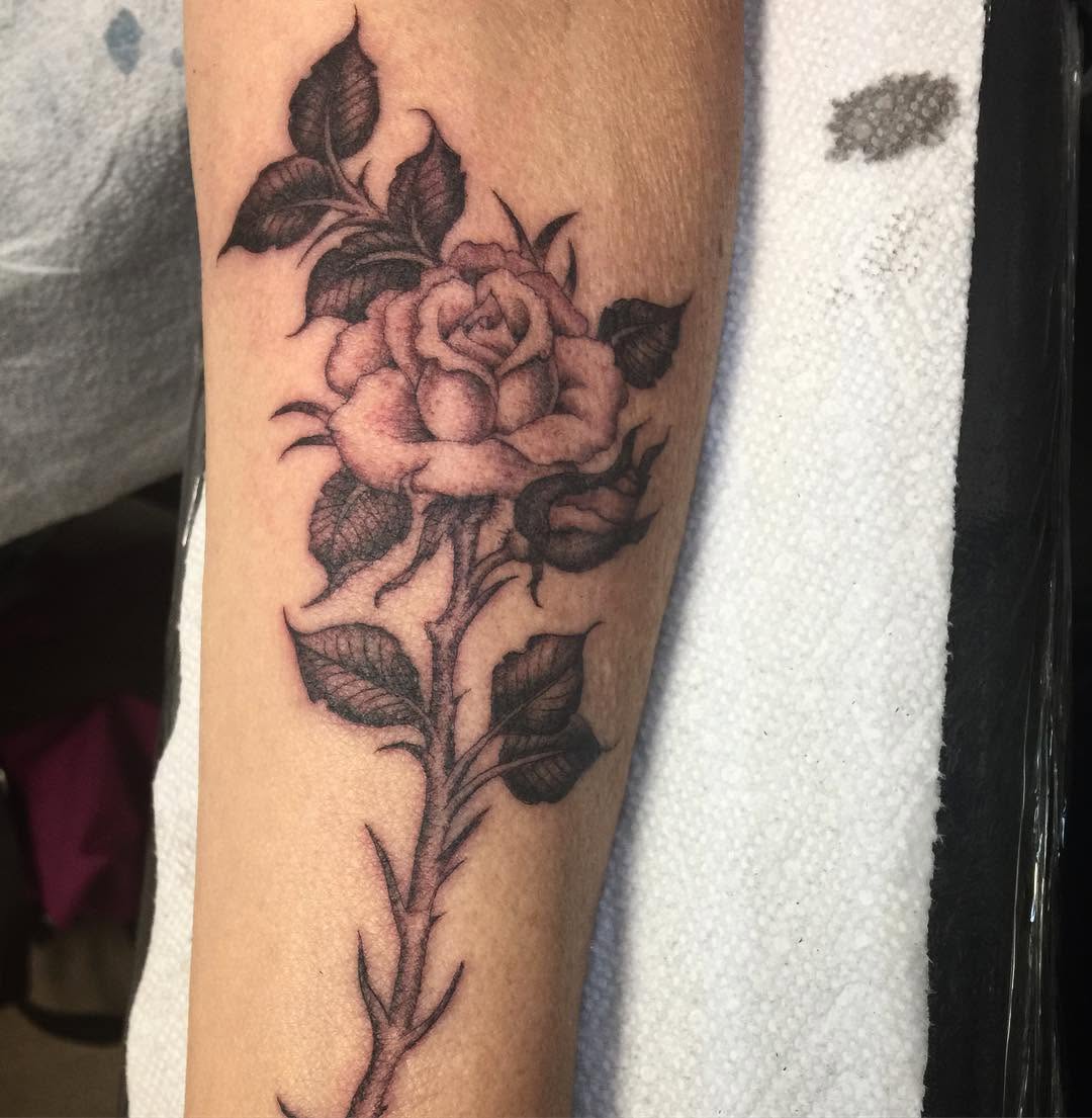 Flower, Rose