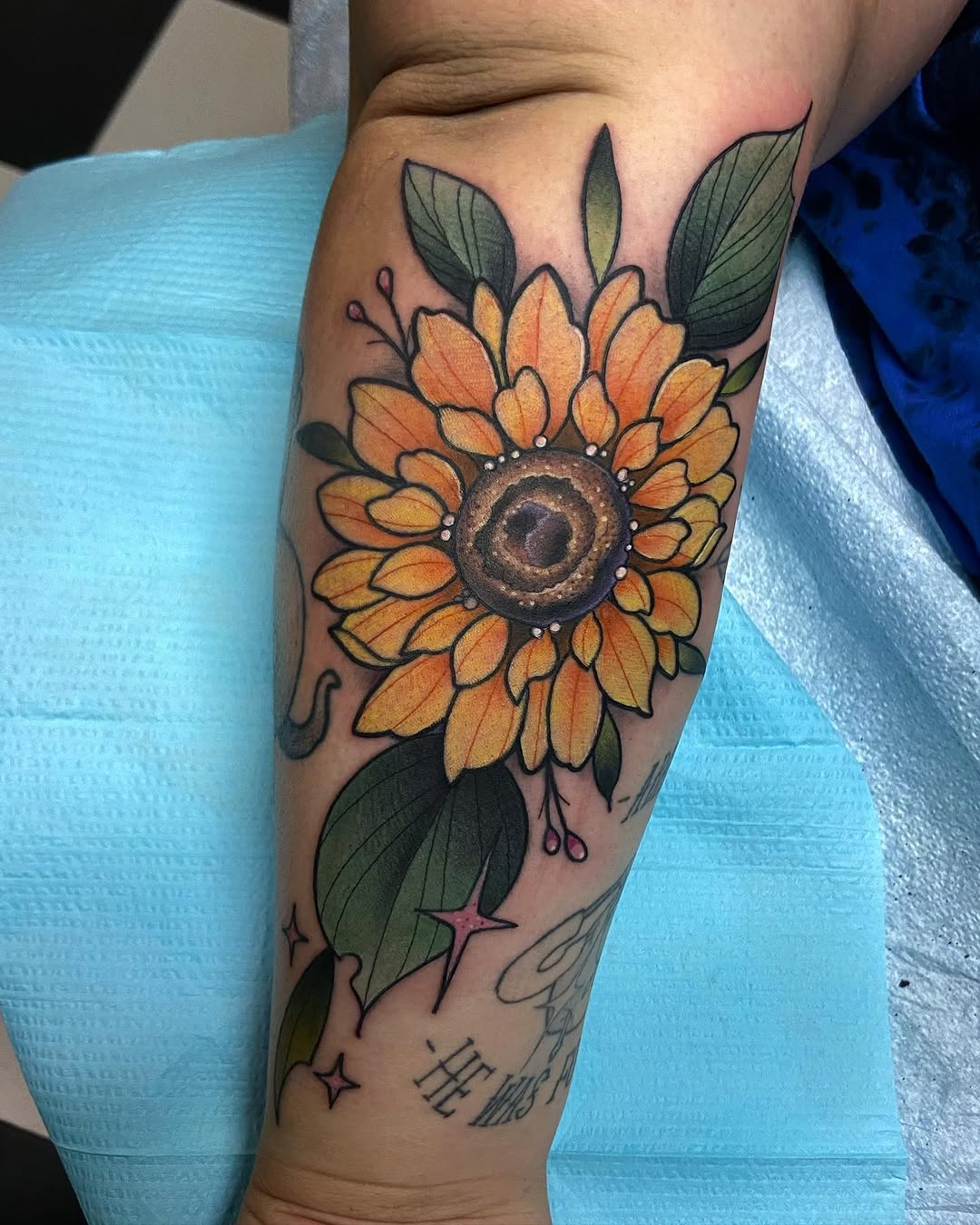 sarastigmata