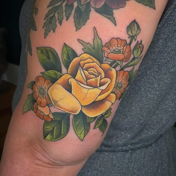 Flower, Rose, Nature