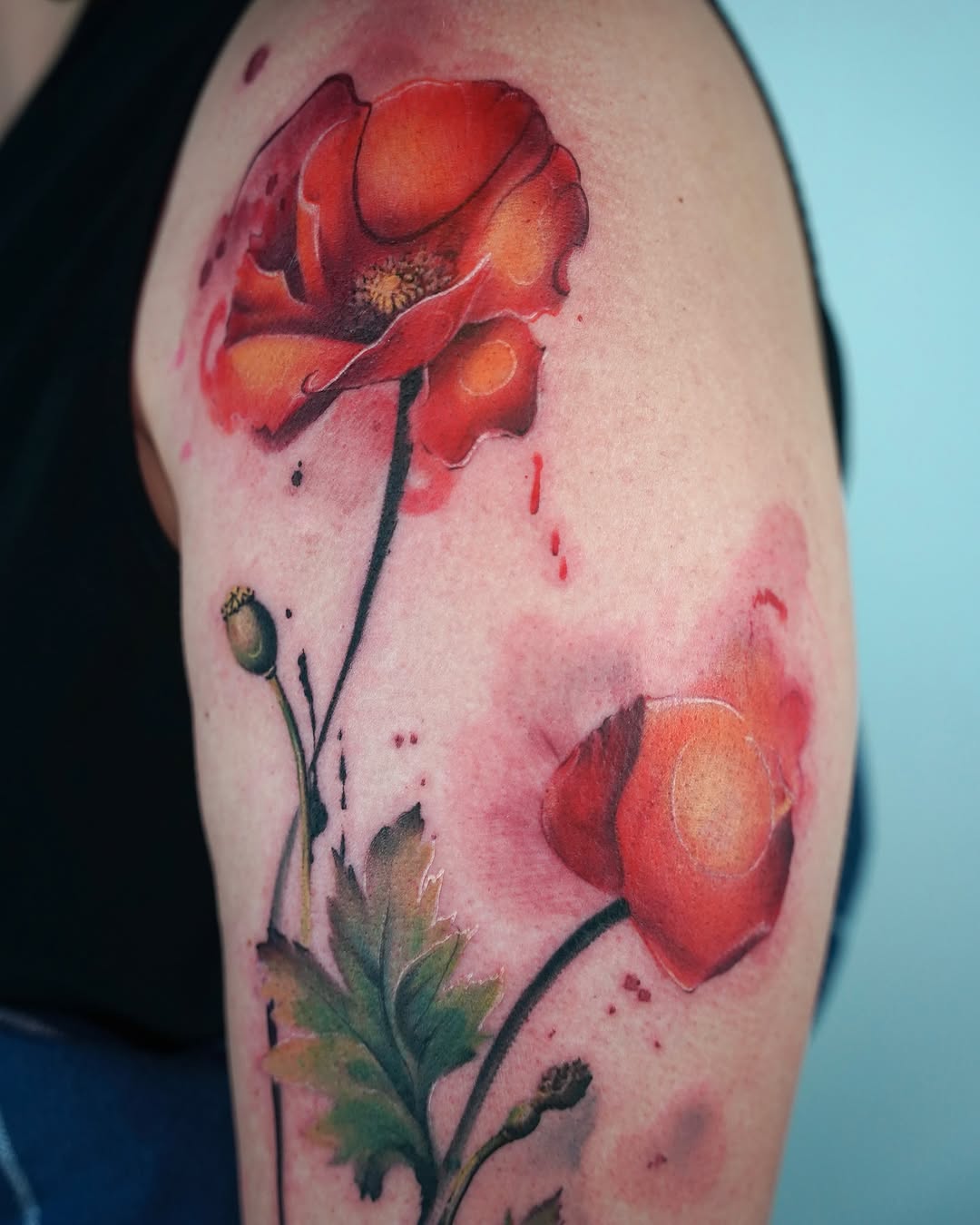 Flower, Rose, 양귀비