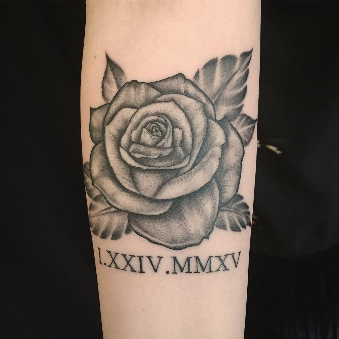 Flower, Rose