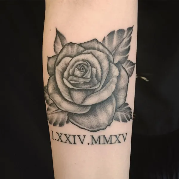 Flower, Rose