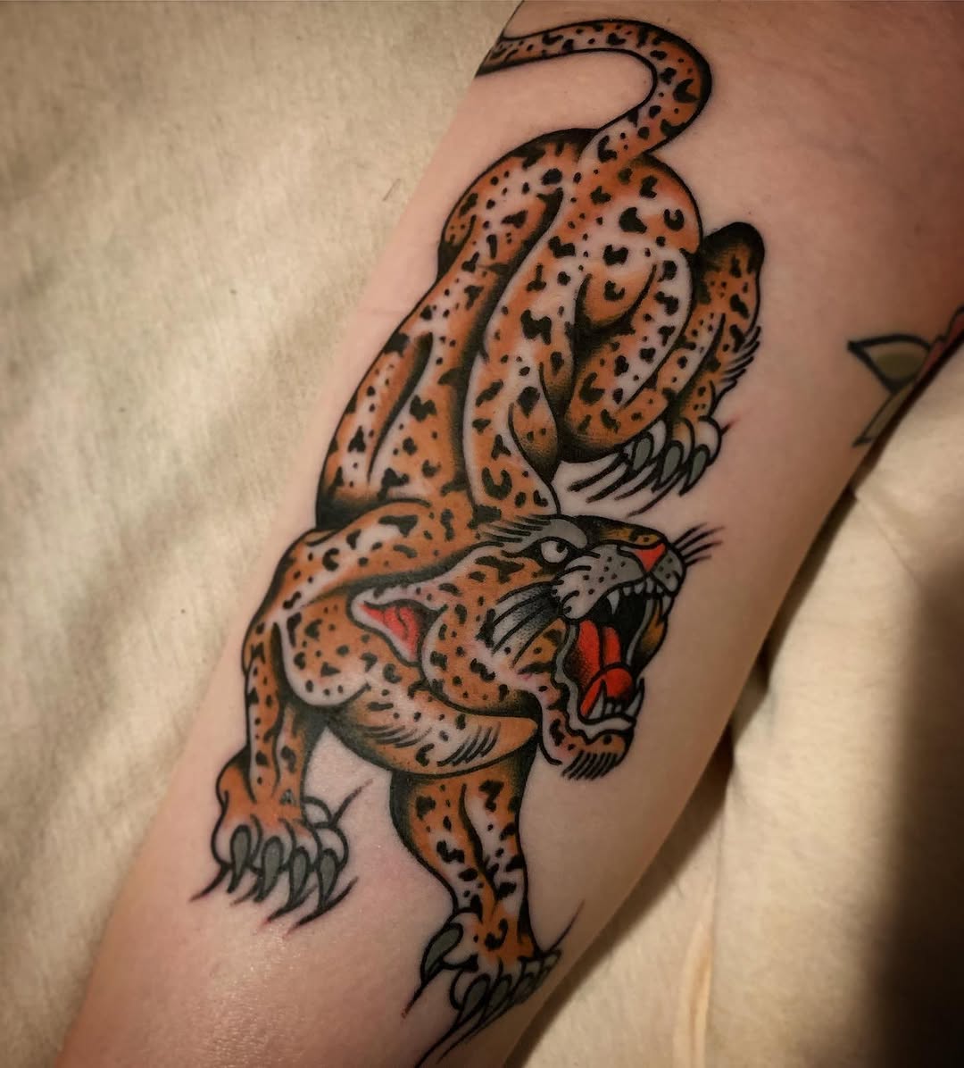 Tiger, Animal