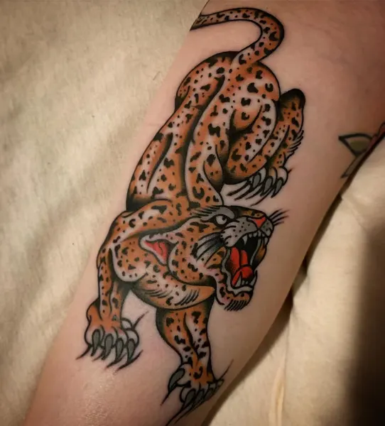 Tiger, Animal
