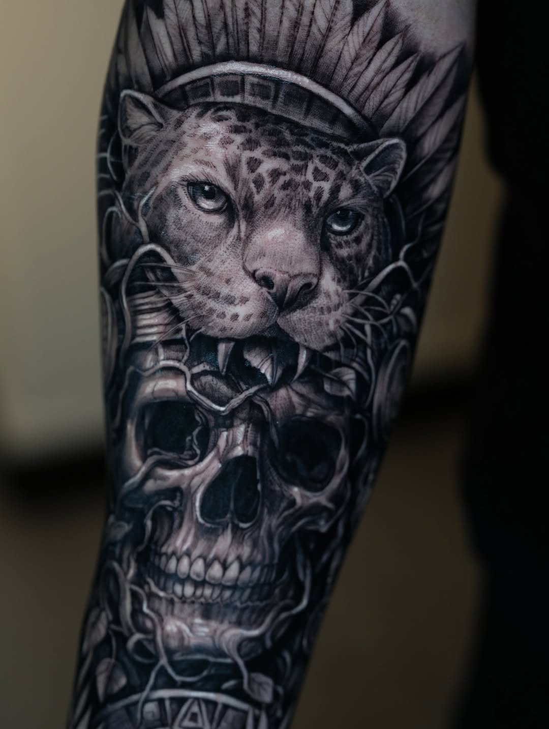 Tiger, Animal