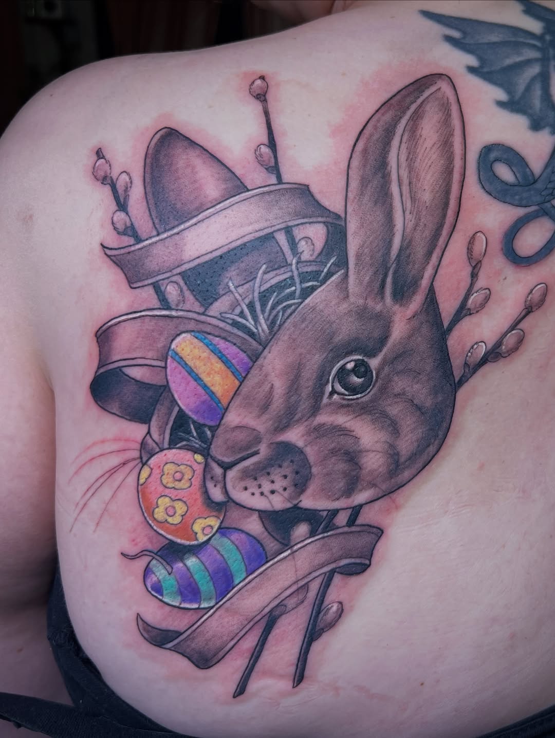 shawn_hebrank