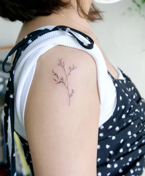 잎, 덩굴, 은행잎, 나뭇가지, 올리브 가지, 나무, 대나무, 이레즈미, Nature