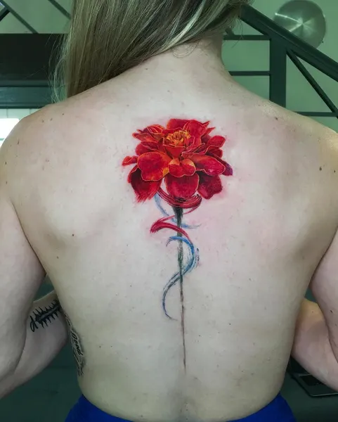 Flower, Nature, Rose