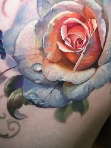 Flower, Rose