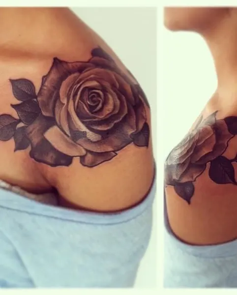 Flower, Rose
