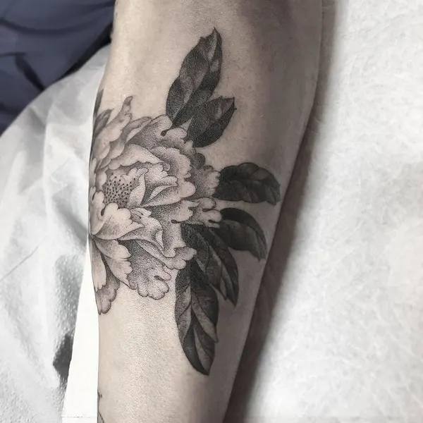 Rose, Flower