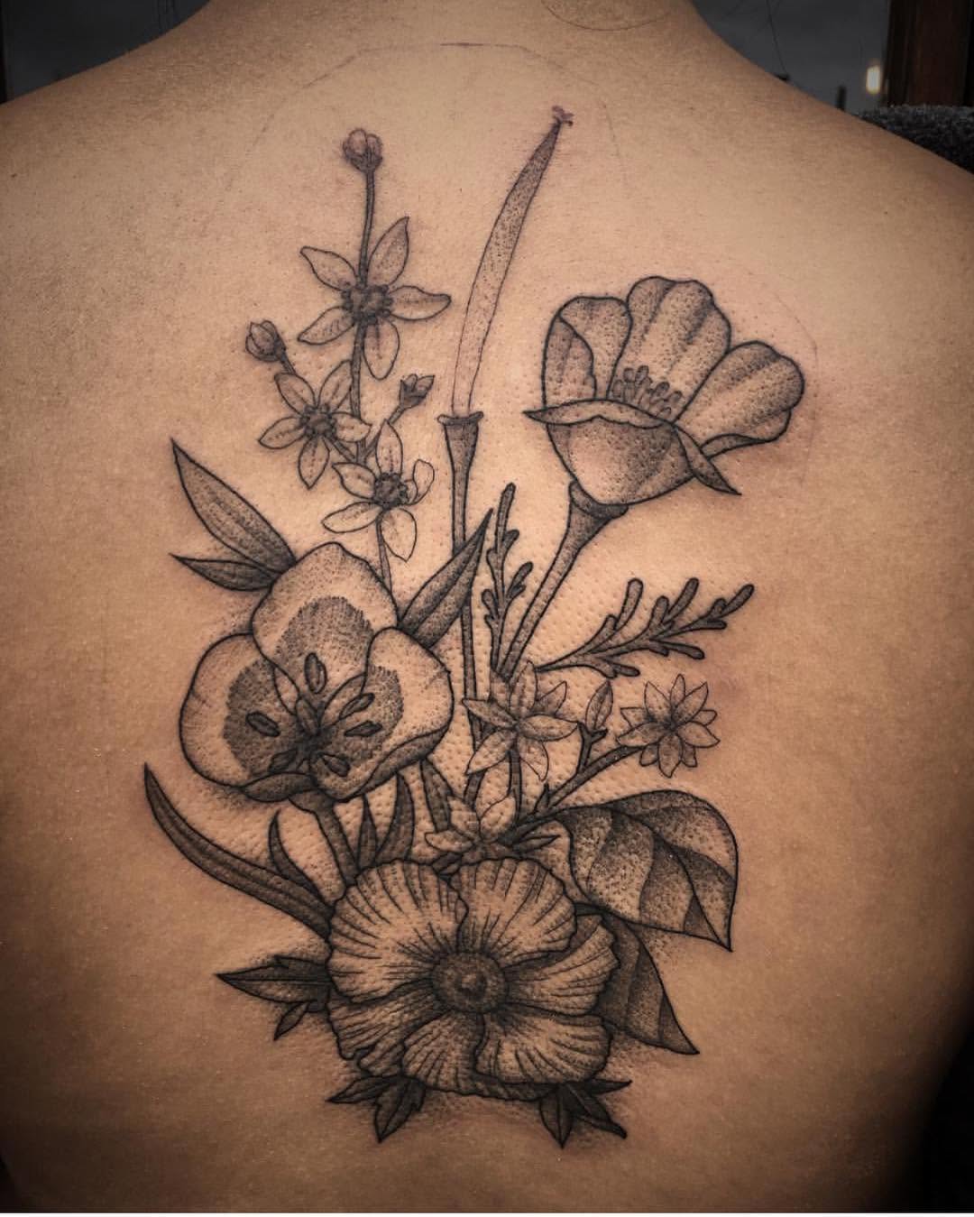 Flower, Rose, Nature