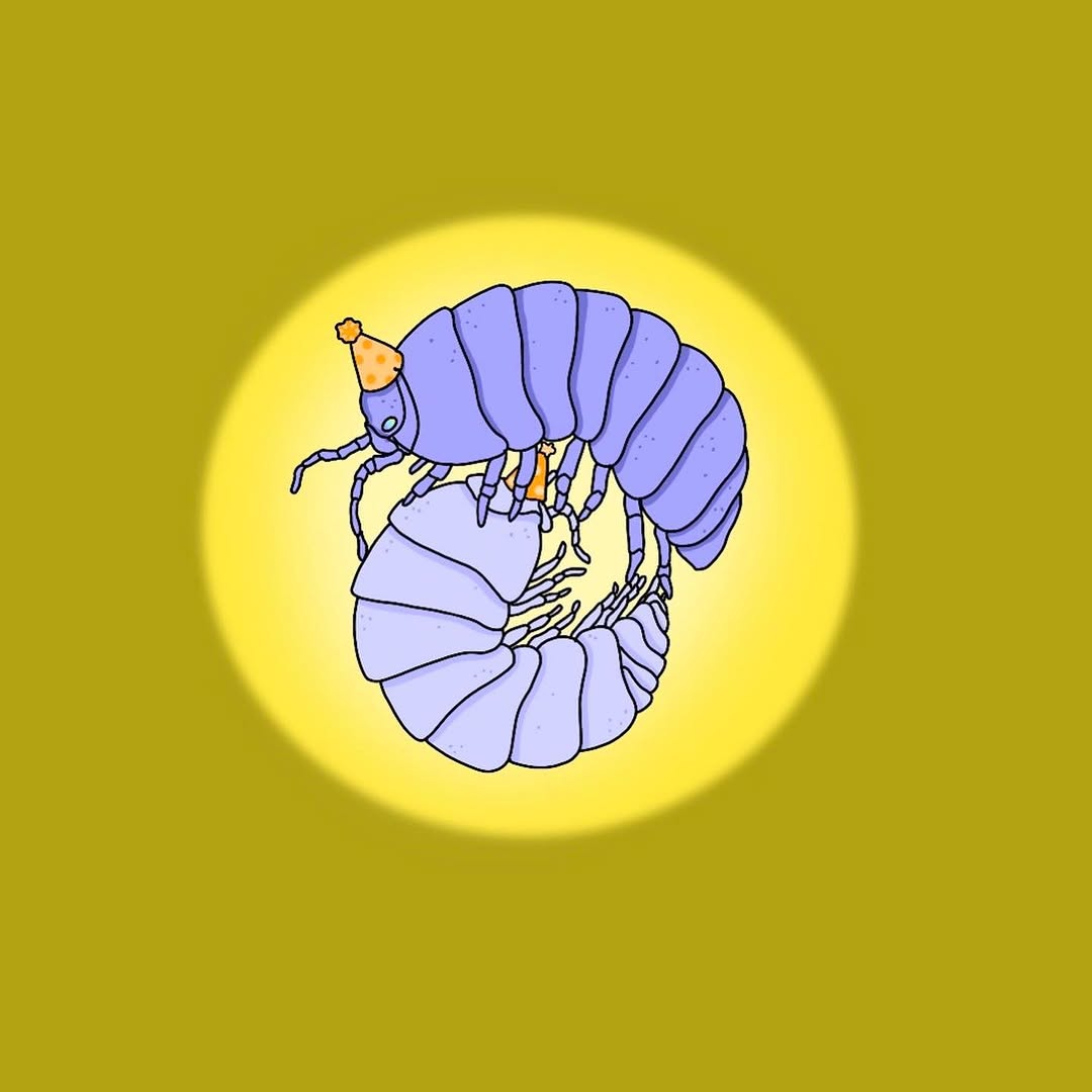 happyfishhead