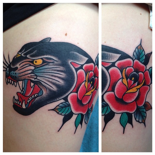 Animal, Tiger