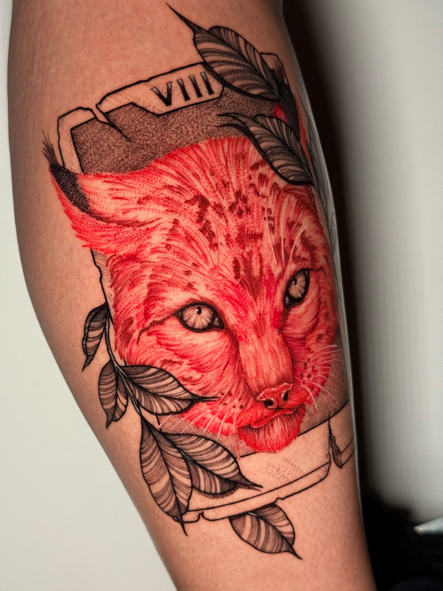 Animal