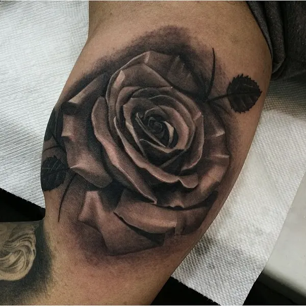 Flower, Rose