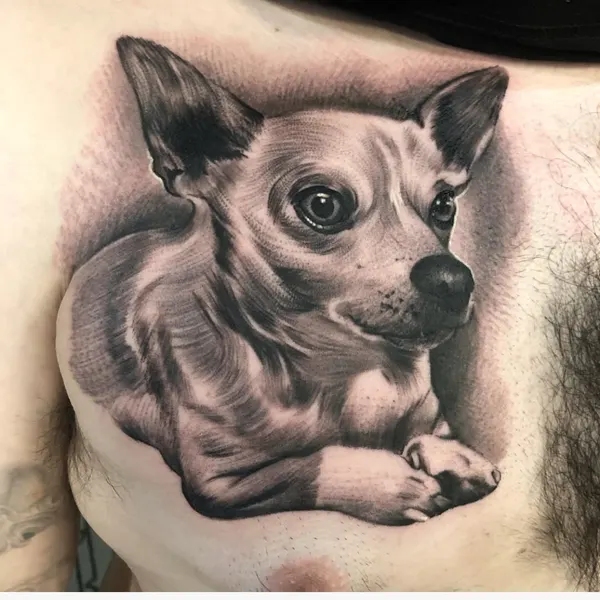 kats10