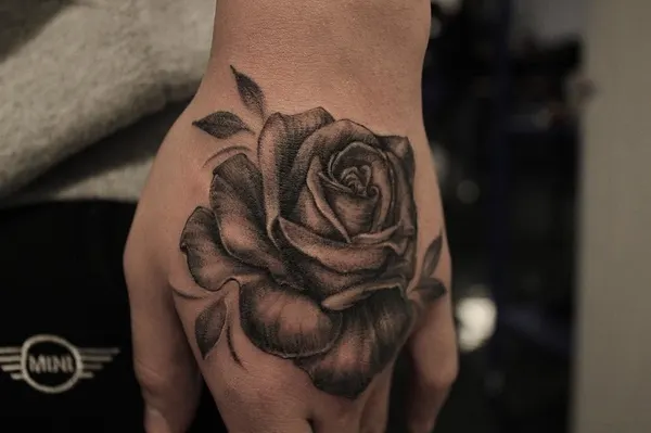Flower, Rose