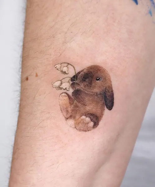 토끼, Animal