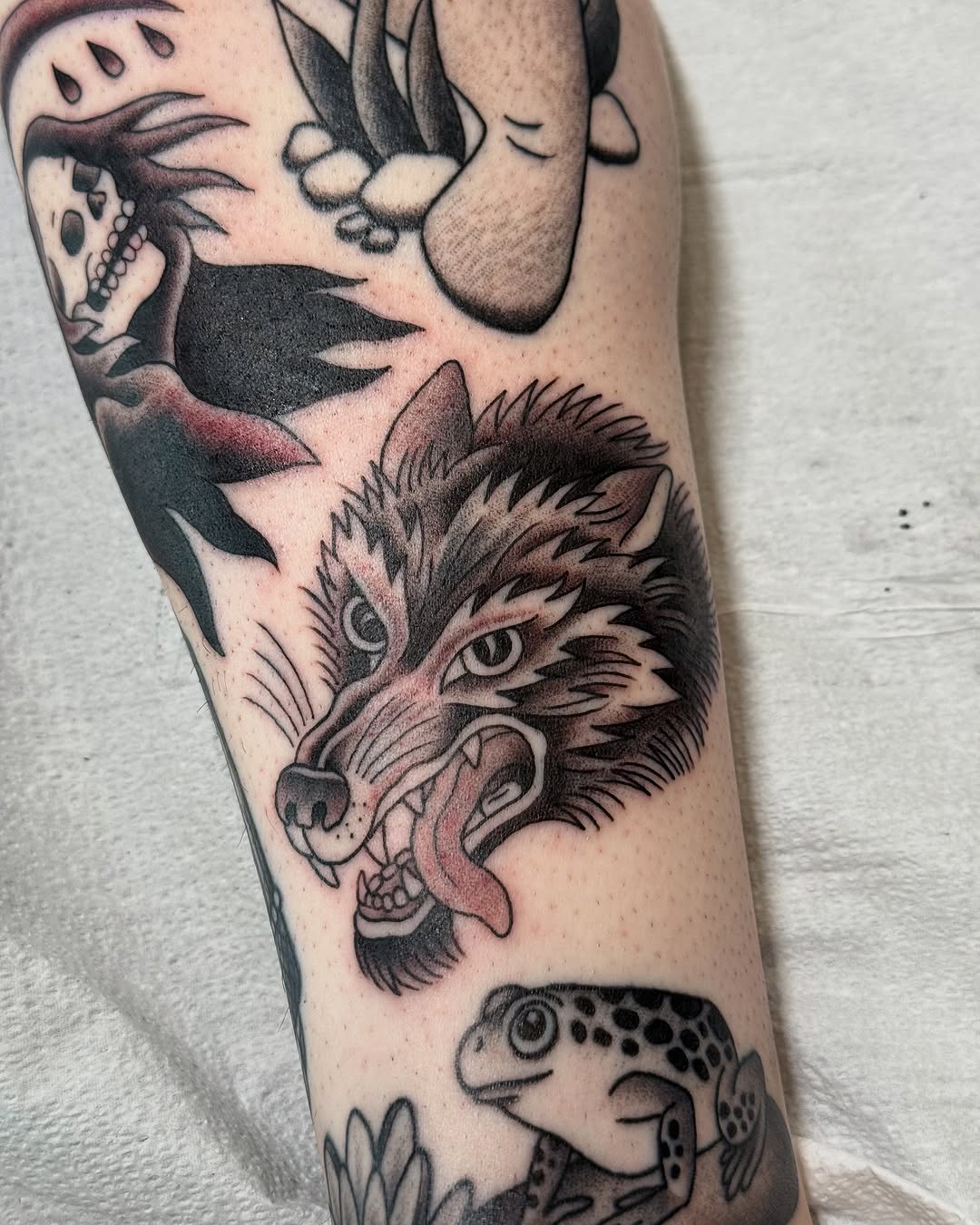 Tiger