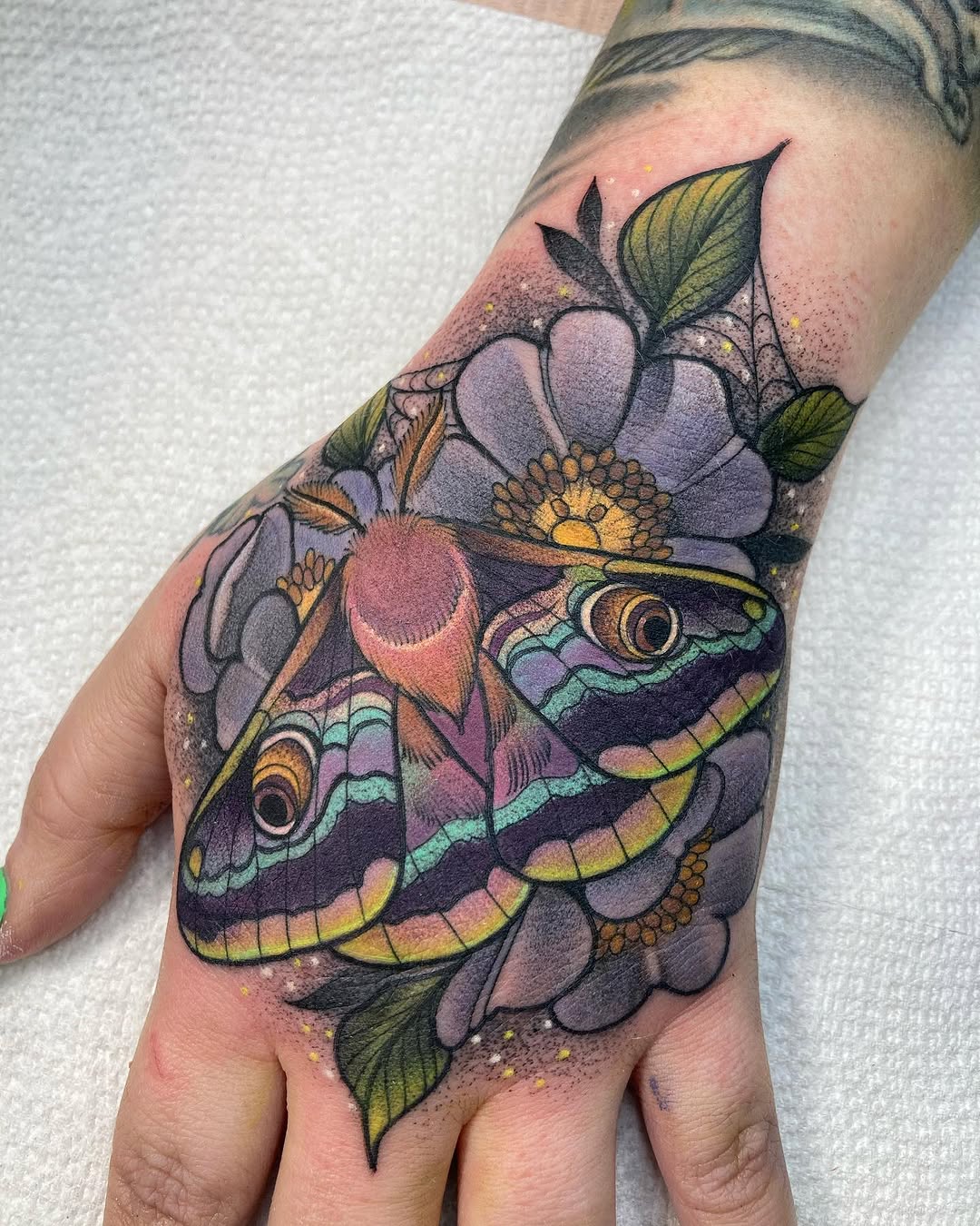 Animal, Nature