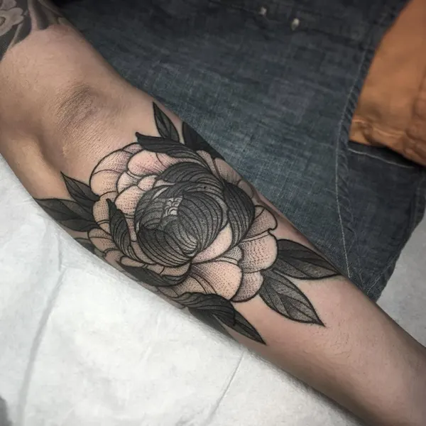 Flower, Rose