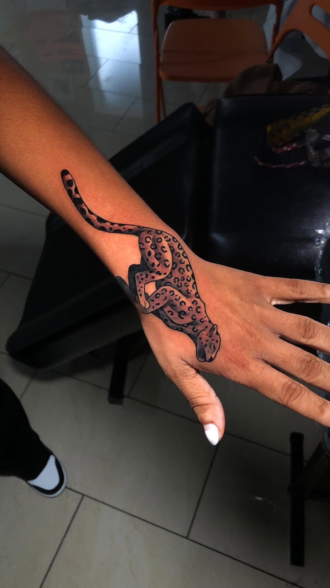 Tiger, Animal