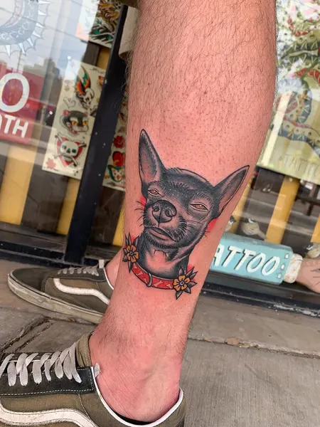 Animal