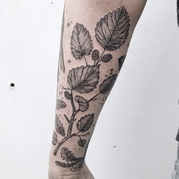Animal, Nature, Flower