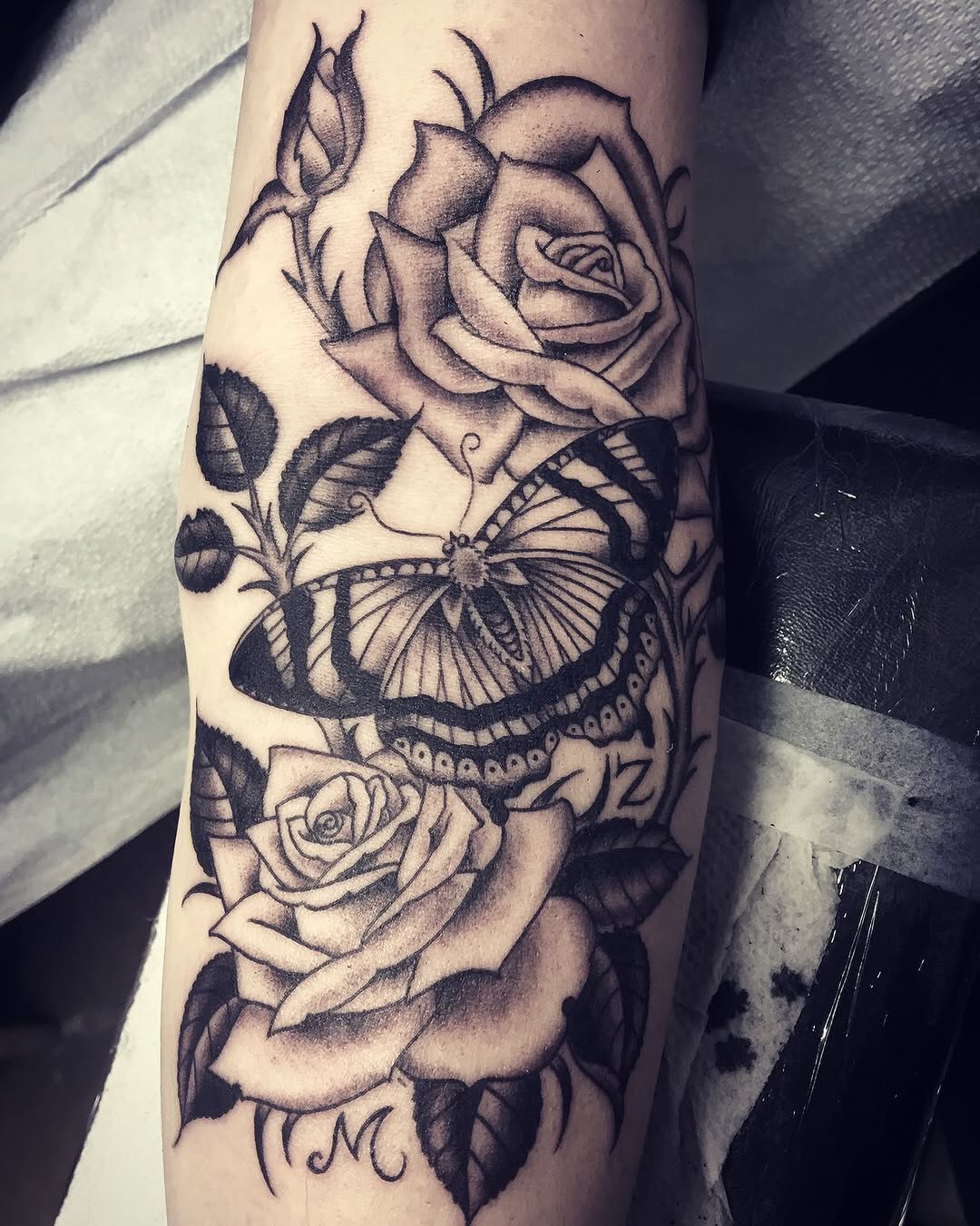 Animal, Nature, Flower