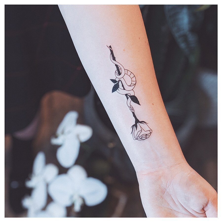 Flower, Rose