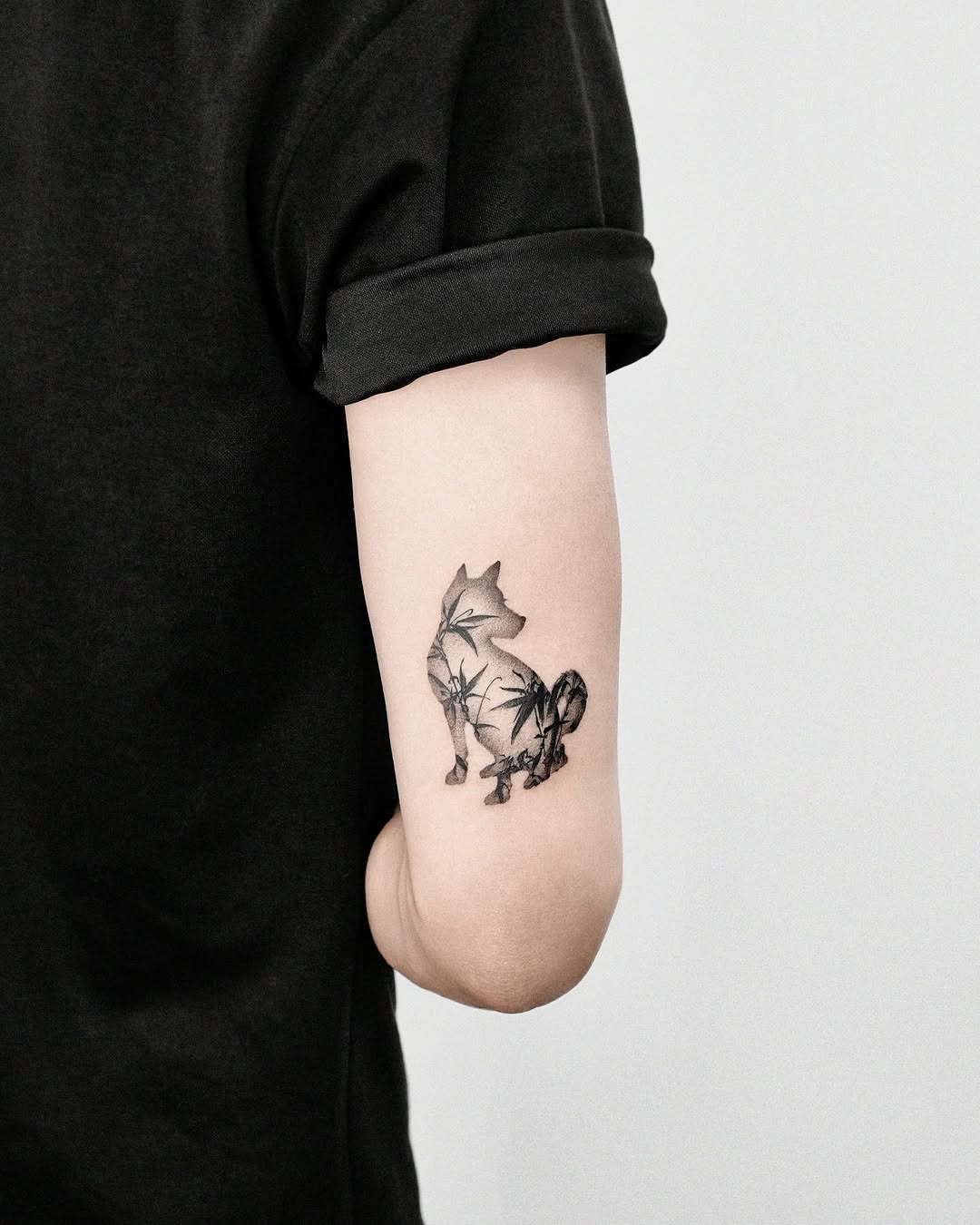 Animal